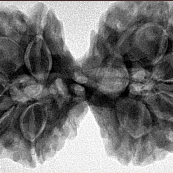 9 MK Gaurishankar 40.2mm 10.22gm - Inverse xray