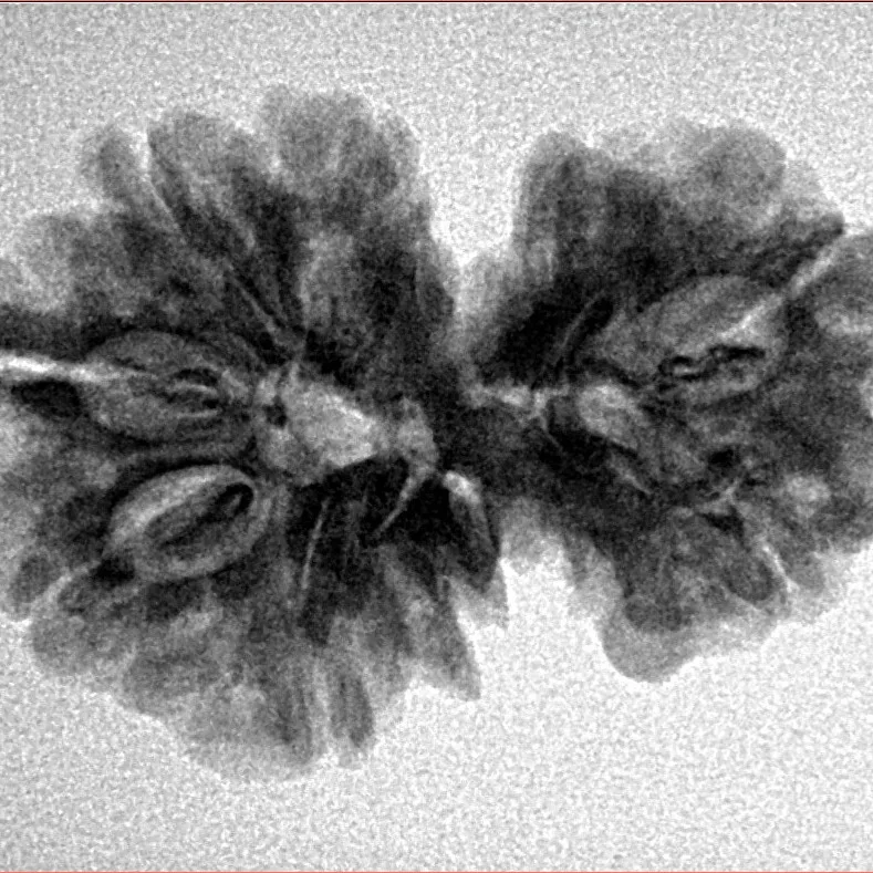 7 MK Gaurishankar 27.1mm 3.91gm - Inverse xray