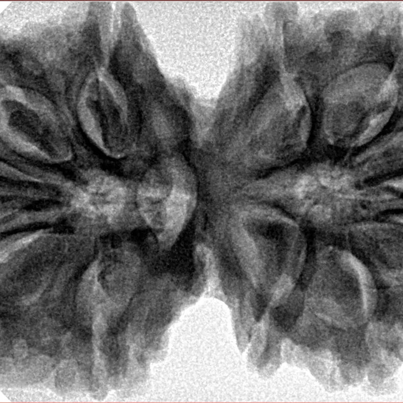 11 MK Gaurishankar 39.9mm 9.39gm - Inverse xray