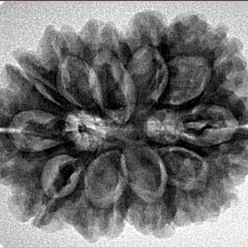11 MK Gaurishankar 29.5mm 5.66gm - Inverse xray