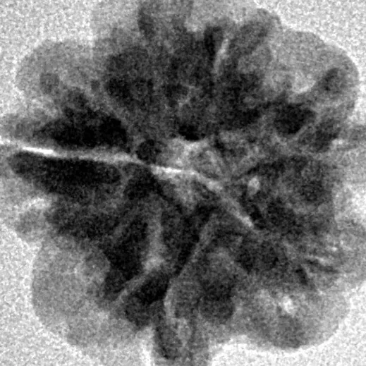 1MK(Underdeveloped) 18.3mm 2.29gm - Inverse xray