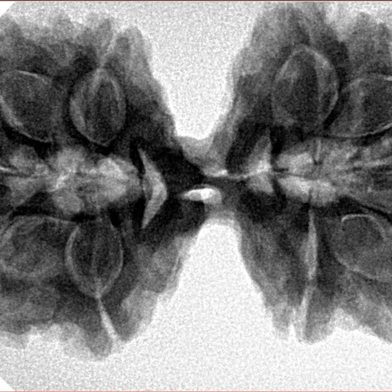 10 Mk Gaurishankar 36.7mm 7.88gm - Inverse xray