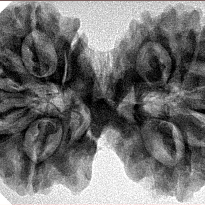 11 MK Gaurishankar 37.8mm 7.79gm - Inverse xray