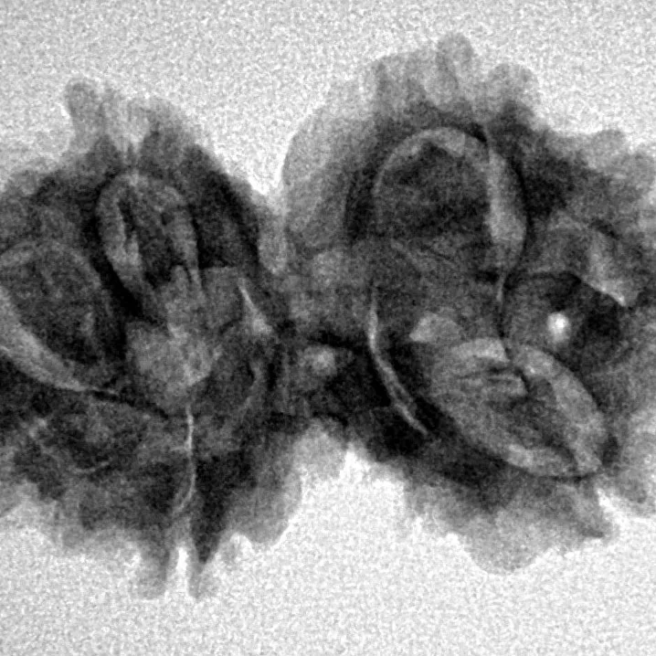 7 MK Gaurishankar 28.6mm 4.35gm - Inverse xray