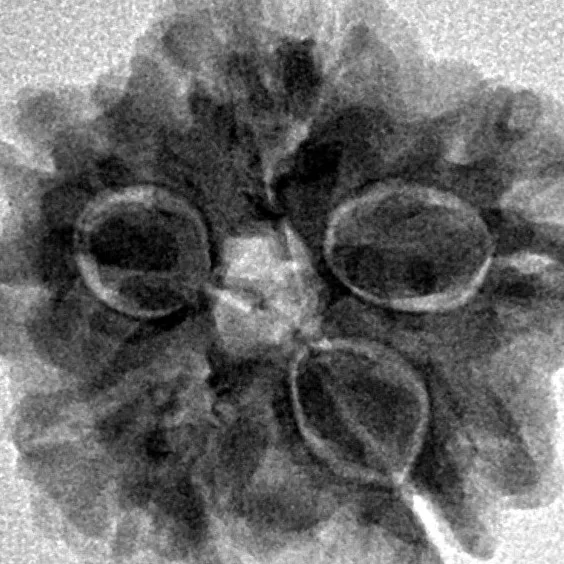 1MK(Underdeveloped) 21.6mm 3.31gm - Inverse xray