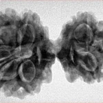 8 MK Gaurishankar 34.2mm 5.76gm - Inverse xray