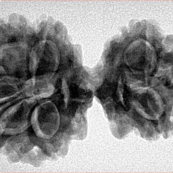 8 MK Gaurishankar 34.2mm 5.76gm - Inverse xray