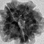 1MK(Underdeveloped) 17.8mm 1.89gm - Inverse xray