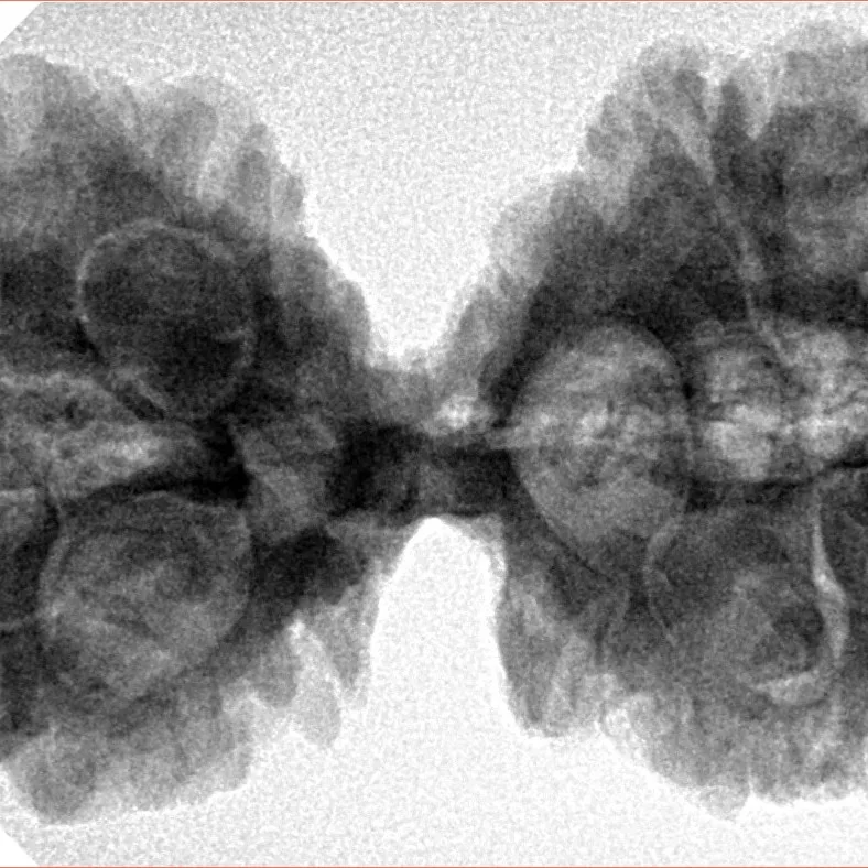 10 Mk Gaurishankar 40.1mm 8.78gm - Inverse xray