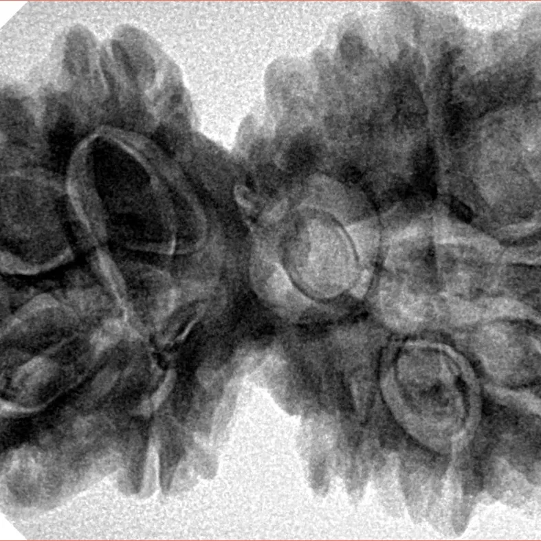 10 Mk Gaurishankar 39.8mm 9.31gm - Inverse xray