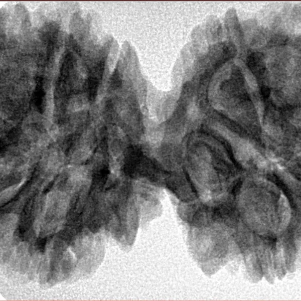 11 MK Gaurishankar 41.4mm 8.17gm - Inverse xray