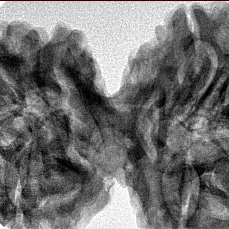 10 Mk Gaurishankar 43.4mm 10.93gm - Inverse xray