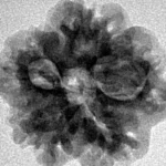 1MK(Underdeveloped) 21.2mm 3.05gm - Inverse xray