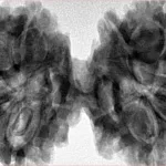 9 MK Gaurishankar 44.7mm 11.11gm - Inverse xray