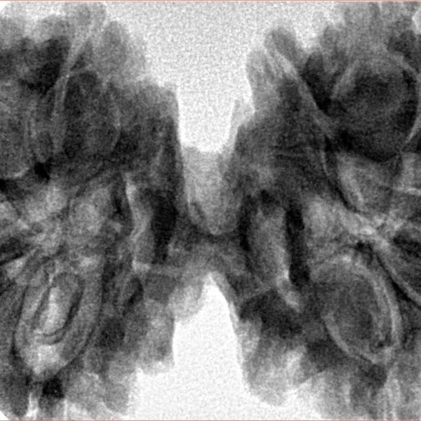 9 MK Gaurishankar 44.7mm 11.11gm - Inverse xray