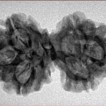 6 Mk Gaurishankar 32.3mm 4gm - Inverse xray