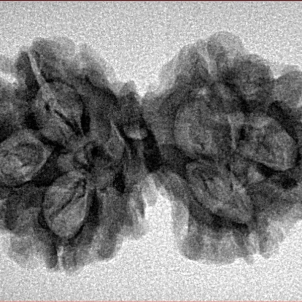 6 Mk Gaurishankar 32.3mm 4gm - Inverse xray