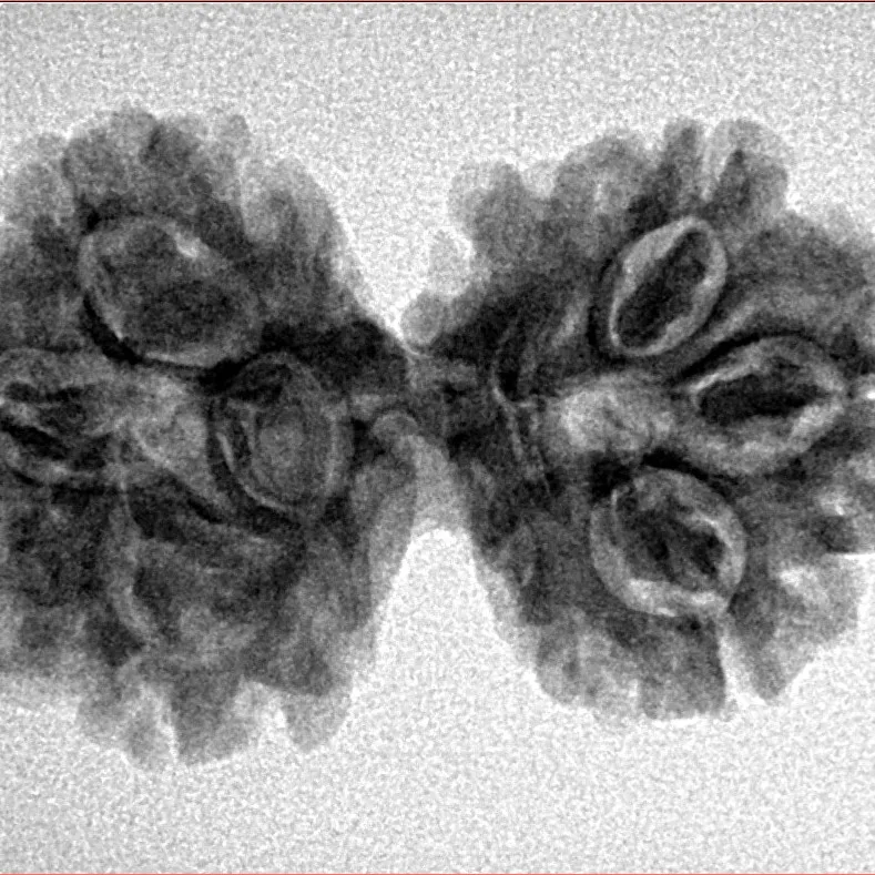 7 MK Gaurishankar 31mm 4gm - Inverse xray