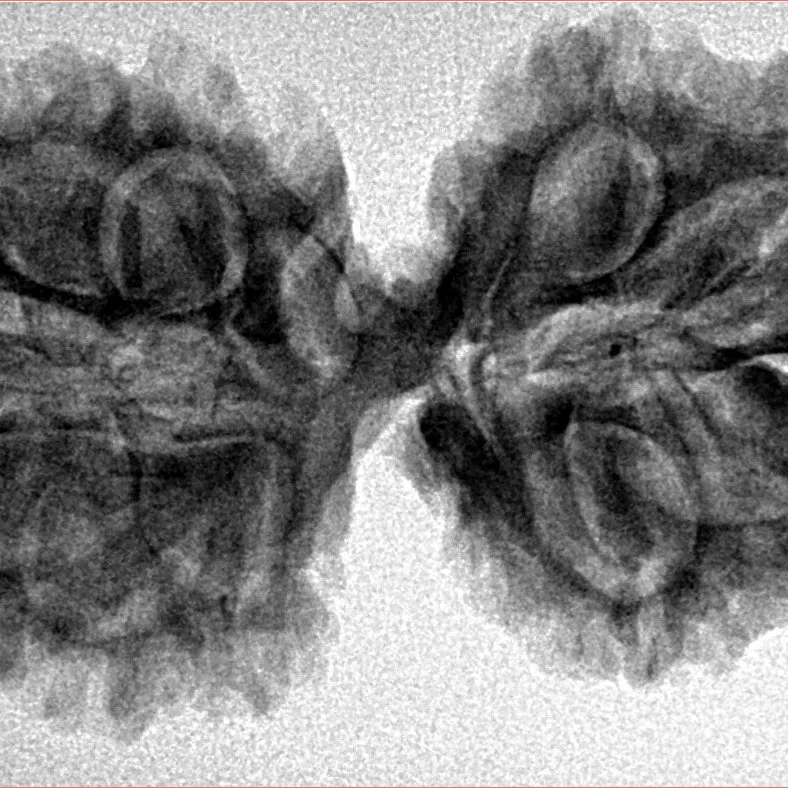 11 MK Gaurishankar 36.3mm 5.66gm - Inverse xray