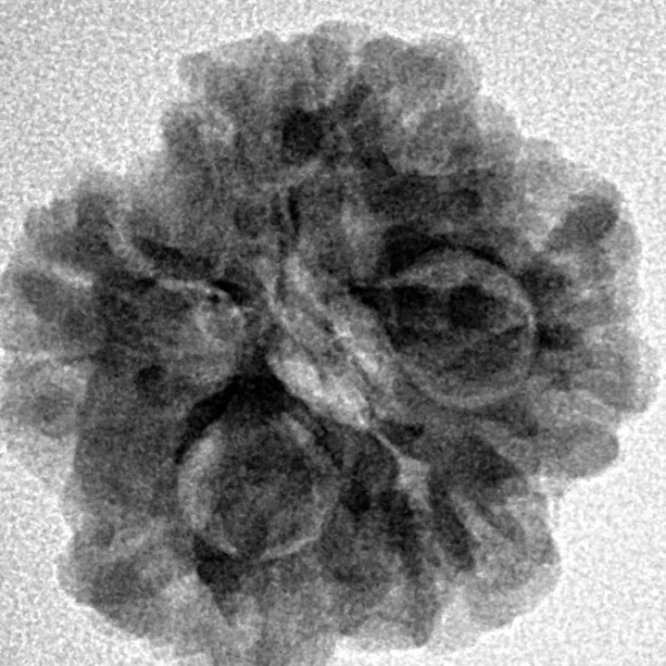 1MK(Underdeveloped) 21.5mm 3.26gm - Inverse xray