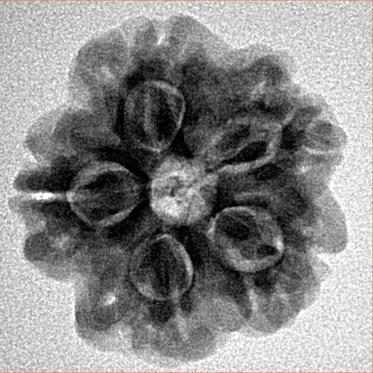 1MK(Underdeveloped) 22.3mm 3.67gm - Inverse xray