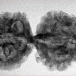 10 Mukhi G.S & Ganesh 35.3mm 5.61gm - Inverse xray