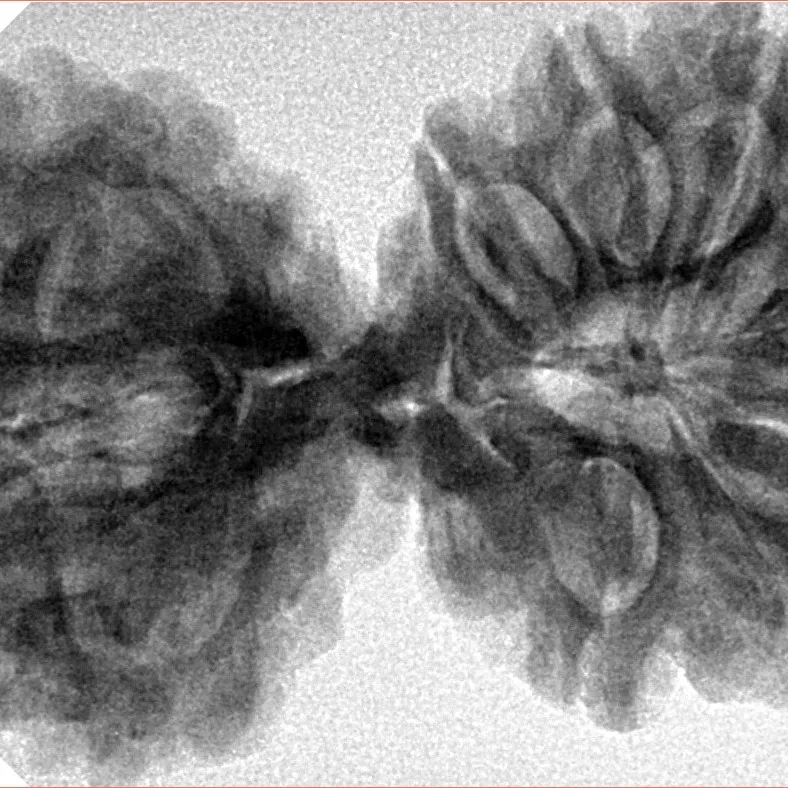 12 MK Gaurishankar 40.3mm 7.67gm - Inverse xray