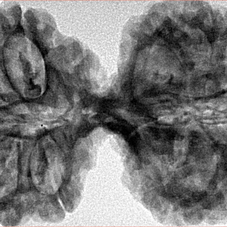 12 MK Gaurishankar 41.1mm 7.82gm - Inverse xray