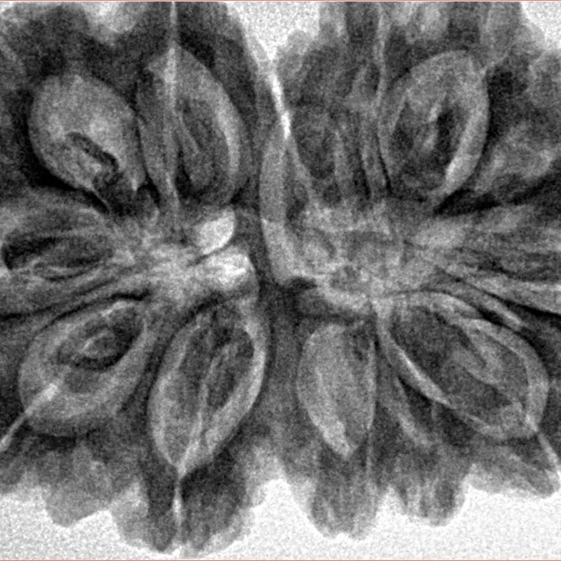 13 MK Gaurishankar 36.2mm 8.38gm - Inverse xray