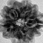 1MK(Underdeveloped) 19.6mm 2.5gm - Inverse xray