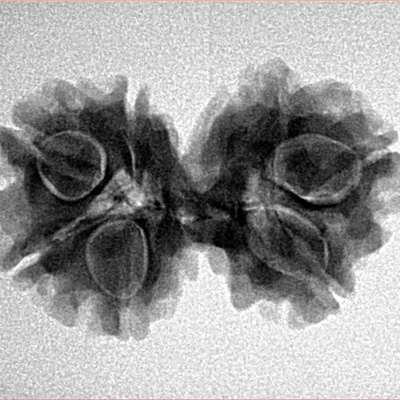 7 MK Gaurishankar 26.4mm 3.56gm - Inverse xray