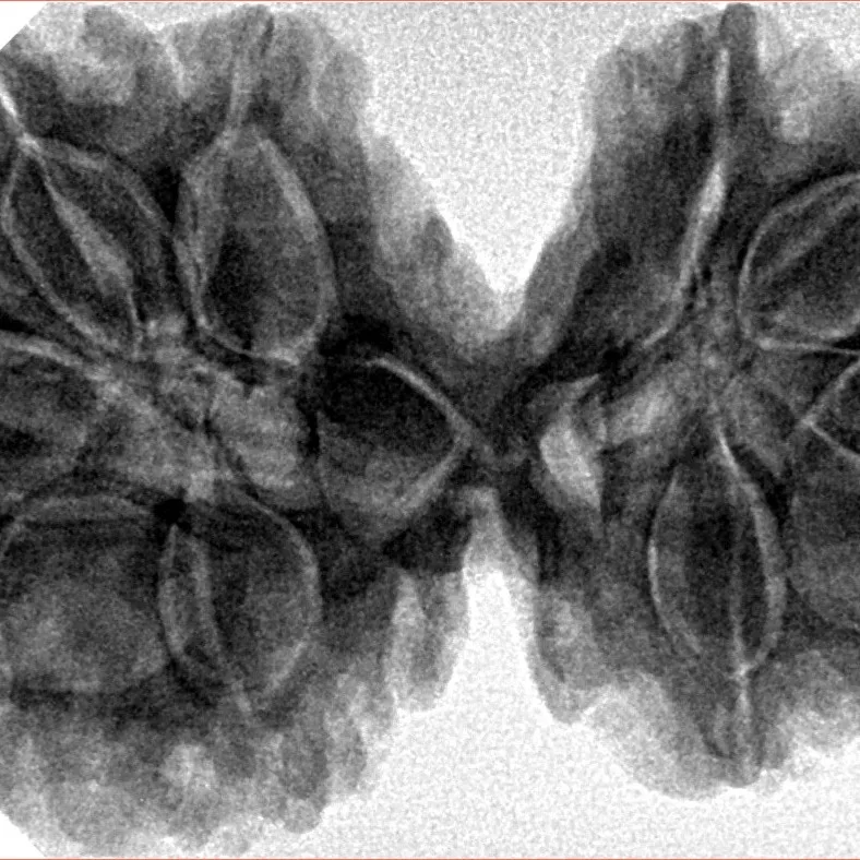10 Mk Gaurishankar 39.4mm 9.2gm - Inverse xray