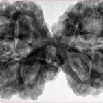 11 MK Gaurishankar 40.3mm 10.41gm - Inverse xray