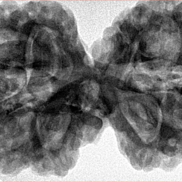 11 MK Gaurishankar 40.3mm 10.41gm - Inverse xray