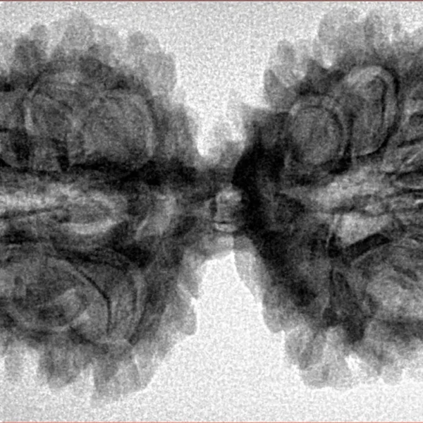 13 MK Gaurishankar 39.2mm 6.5gm - Inverse xray