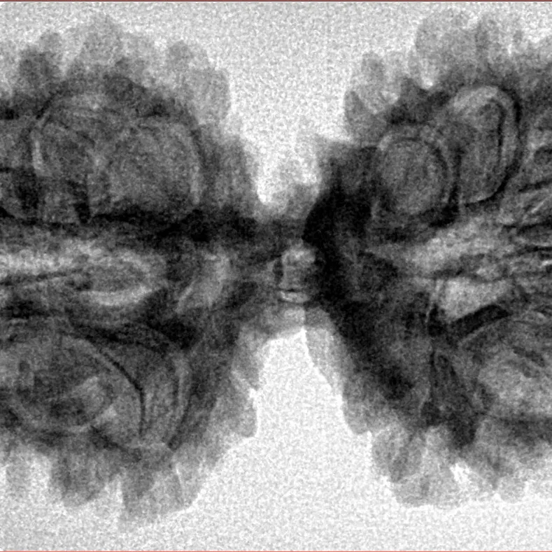 13 MK Gaurishankar 39.2mm 6.5gm - Inverse xray