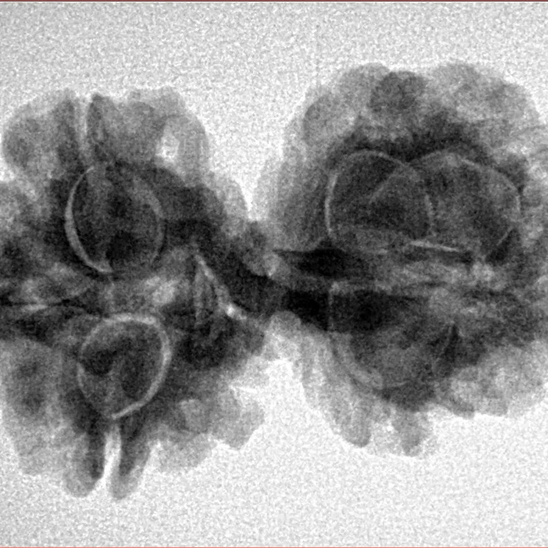7 MK Gaurishankar 30.6mm 4.66gm - Inverse xray