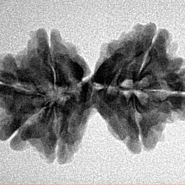 7 MK Gaurishankar 26.5mm 3gm - Inverse xray
