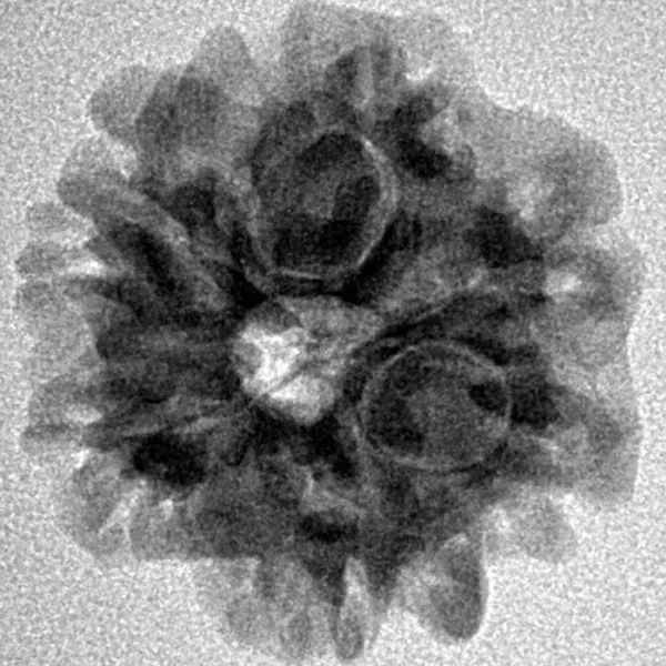 1MK(Underdeveloped) 22.1mm 3.31gm - Origin: Nepal - Inverse xray