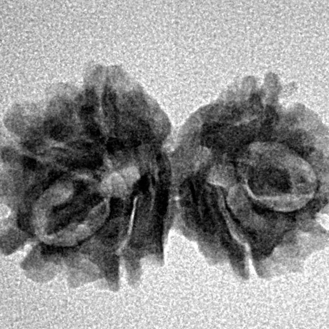 7 MK Gaurishankar 22.8mm 2.02gm - Inverse xray
