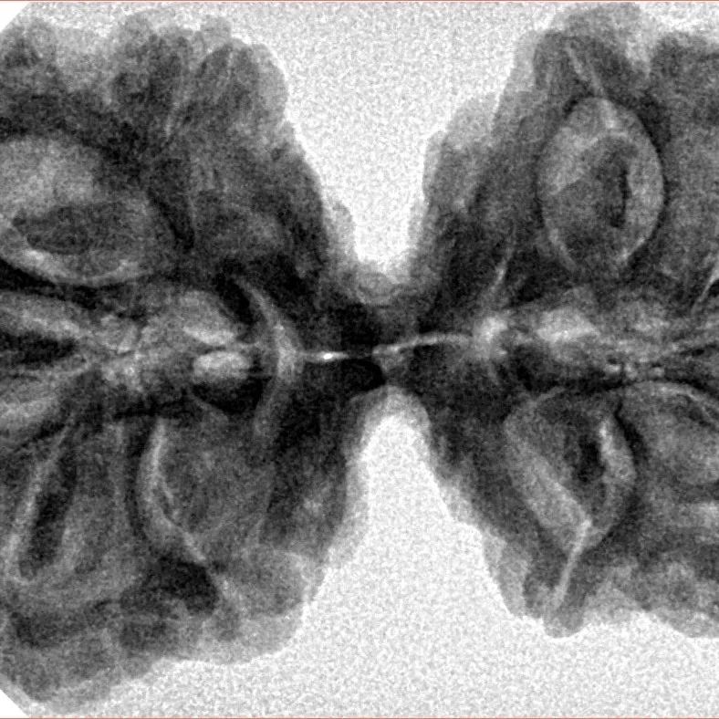 10 Mk Gaurishankar 40.5mm 7.85gm - Inverse xray