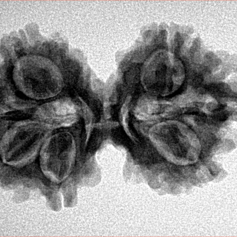 7 MK Gaurishankar 30.8mm 4.28gm - Inverse xray