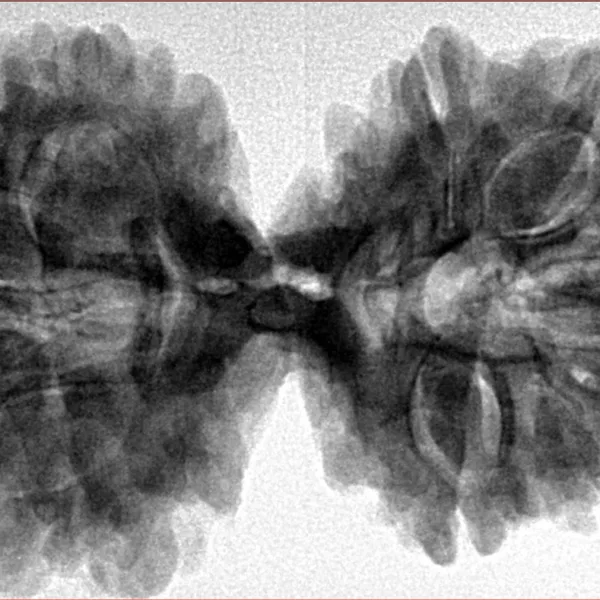 10 Mk Gaurishankar 39.7mm 8.71gm - Inverse xray