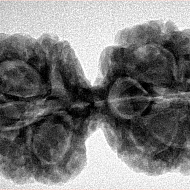 10 Mk Gaurishankar 36.9mm 7.4gm - Inverse xray