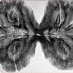8 MK Gaurishankar 41.1mm 10.62gm - Inverse xray