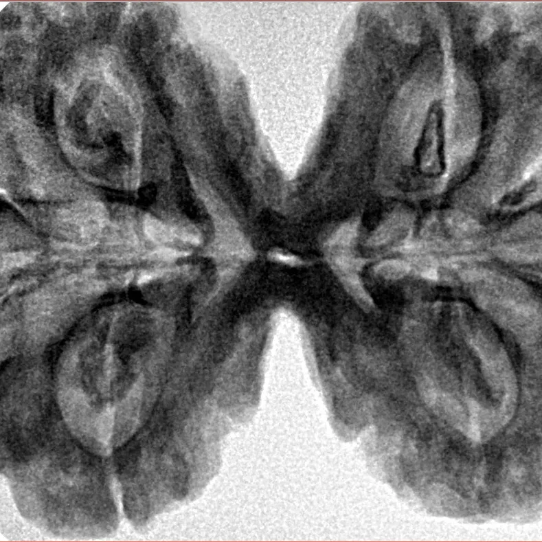 8 MK Gaurishankar 41.1mm 10.62gm - Inverse xray