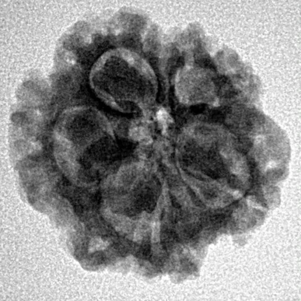 1MK(Underdeveloped) 20.5mm 3.06gm - Inverse xray