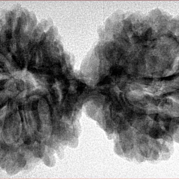 10 Mk Gaurishankar 39.9mm 7.32gm - Inverse xray