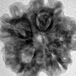 1MK(Underdeveloped) 22.1mm 3.53gm - Inverse xray