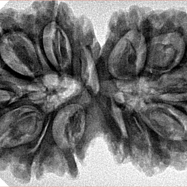 13 MK Gaurishankar 37.6mm 7.55gm - Inverse xray